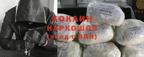 дмт Заводоуковск
