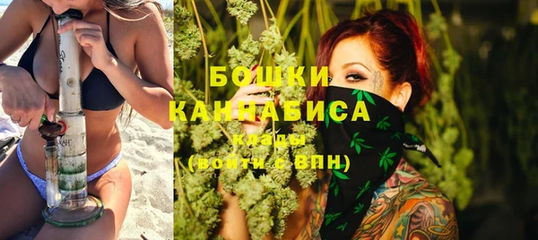 дмт Заводоуковск