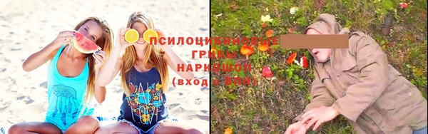 дмт Заводоуковск